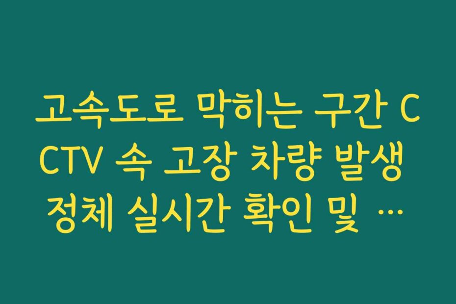 고속도로 막히는 구간 CCTV 속 고장 차량 발생 정체 실시간 확인 및 조치