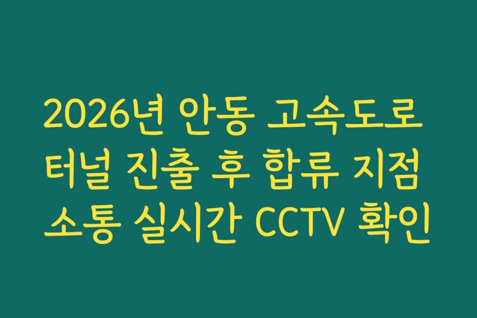 2026년 안동 고속도로 터널 진출 후 합류 지점 소통 실시간 CCTV 확인