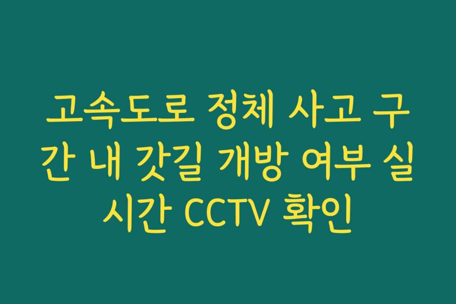 고속도로 정체 사고 구간 내 갓길 개방 여부 실시간 CCTV 확인