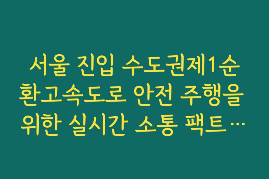 서울 진입 수도권제1순환고속도로 안전 주행을 위한 실시간 소통 팩트 확인