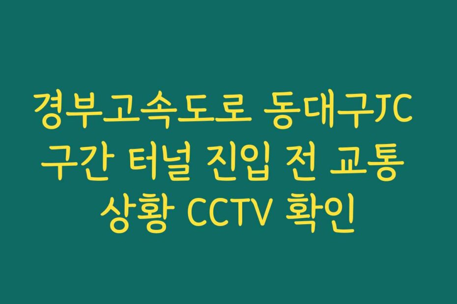 경부고속도로 동대구JC 구간 터널 진입 전 교통 상황 CCTV 확인