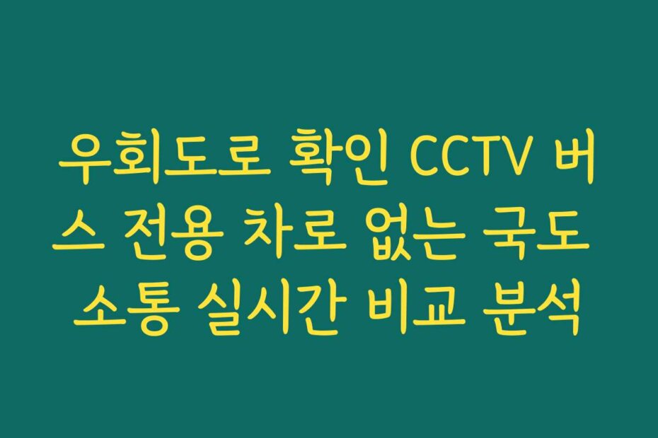 우회도로 확인 CCTV 버스 전용 차로 없는 국도 소통 실시간 비교 분석