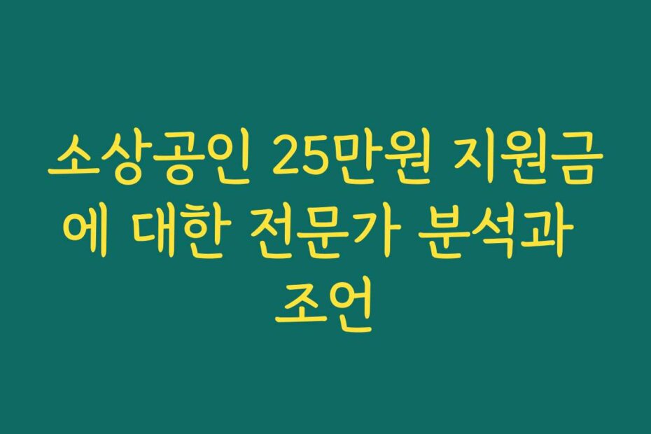 소상공인 25만원 지원금에 대한 전문가 분석과 조언