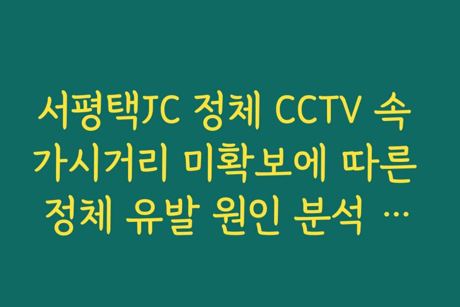 서평택JC 정체 CCTV 속 가시거리 미확보에 따른 정체 유발 원인 분석 가이드