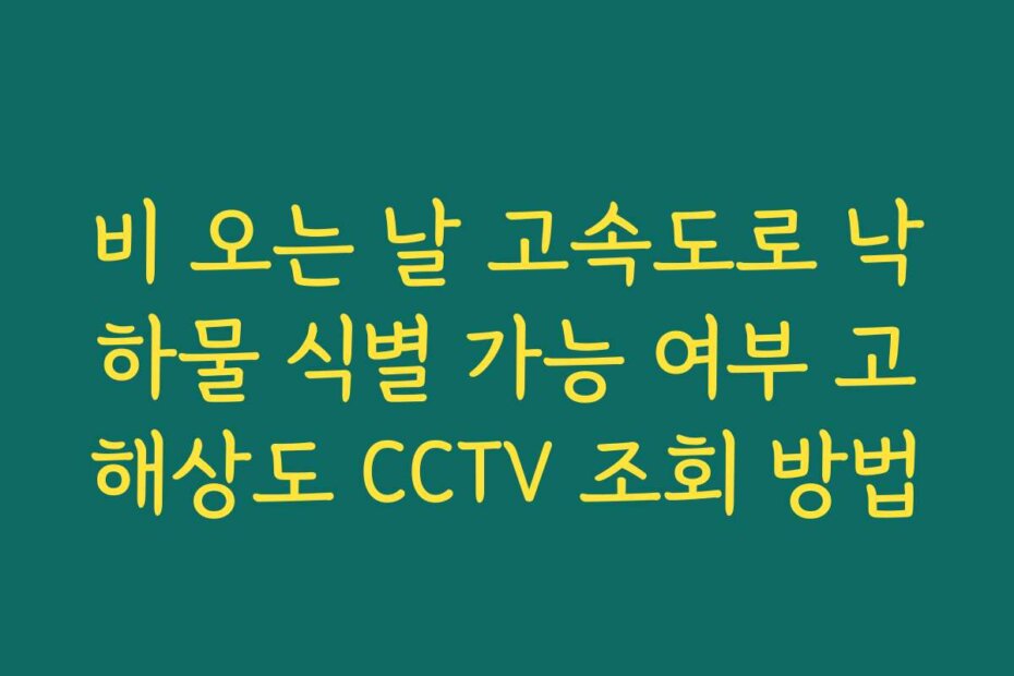 비 오는 날 고속도로 낙하물 식별 가능 여부 고해상도 CCTV 조회 방법
