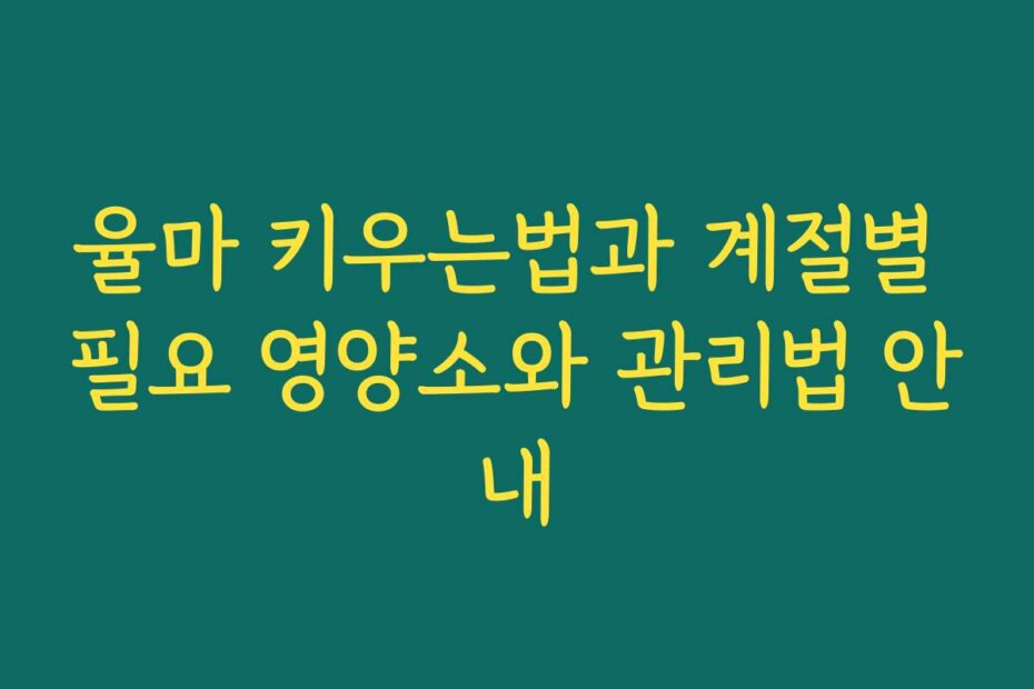 율마 키우는법과 계절별 필요 영양소와 관리법 안내