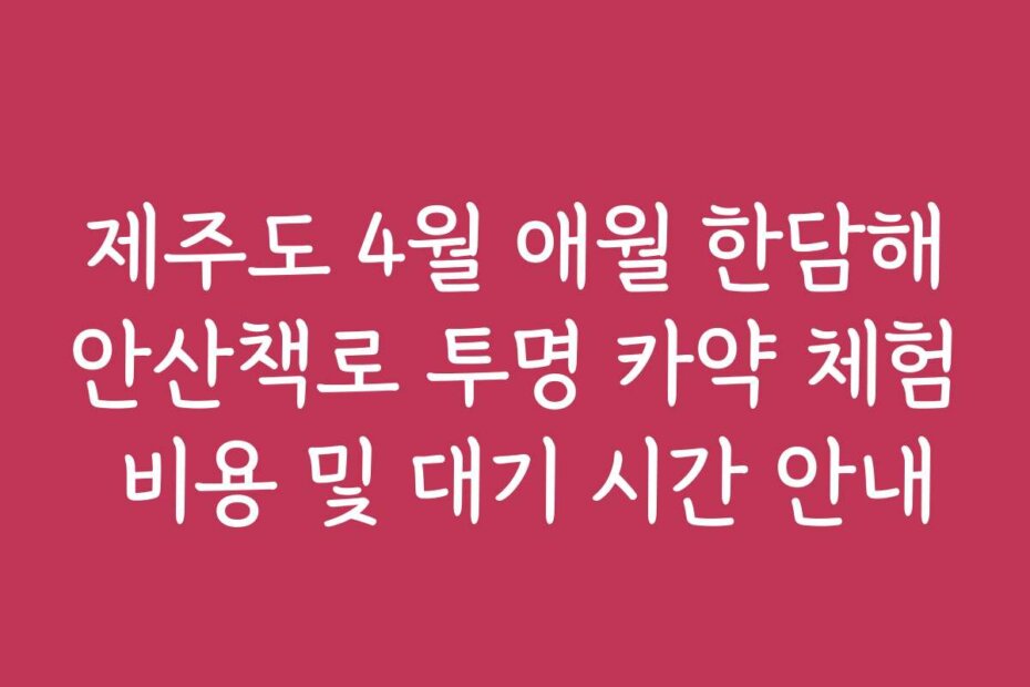 제주도 4월 애월 한담해안산책로 투명 카약 체험 비용 및 대기 시간 안내