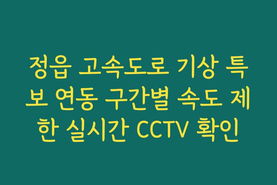 정읍 고속도로 기상 특보 연동 구간별 속도 제한 실시간 CCTV 확인