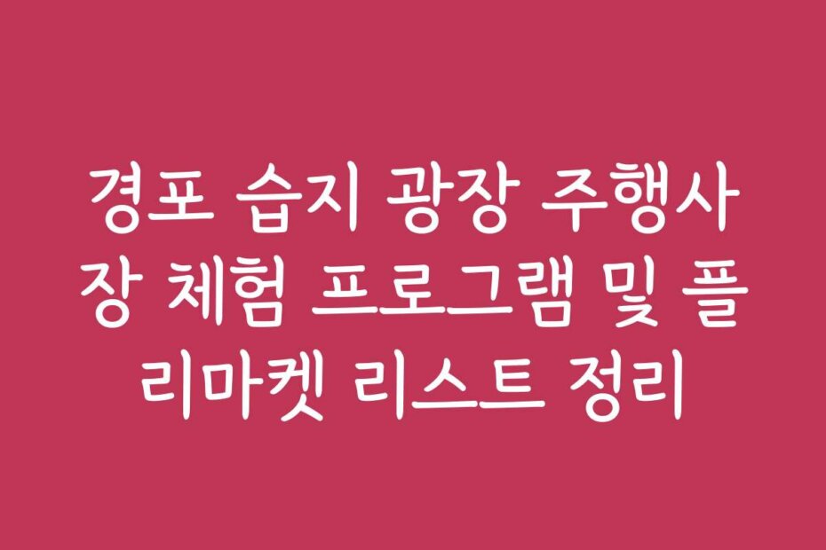경포 습지 광장 주행사장 체험 프로그램 및 플리마켓 리스트 정리