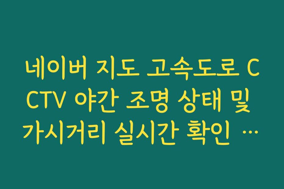 네이버 지도 고속도로 CCTV 야간 조명 상태 및 가시거리 실시간 확인 방법