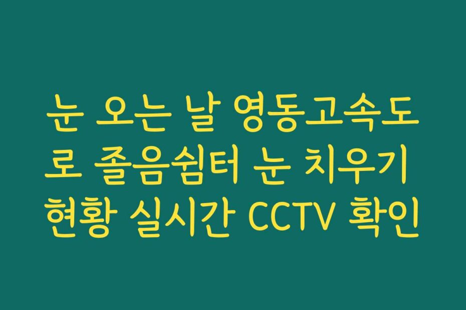 눈 오는 날 영동고속도로 졸음쉼터 눈 치우기 현황 실시간 CCTV 확인