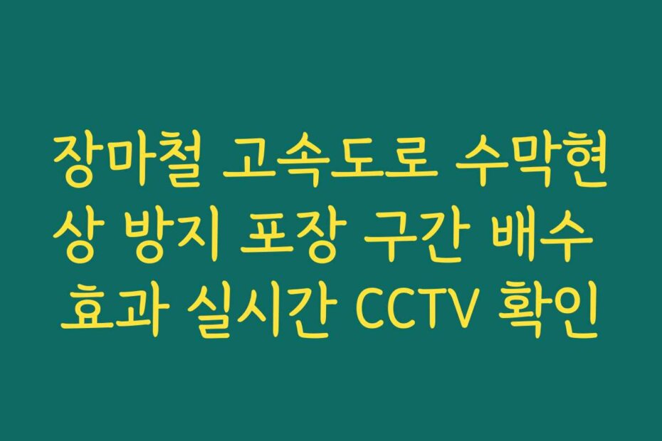 장마철 고속도로 수막현상 방지 포장 구간 배수 효과 실시간 CCTV 확인