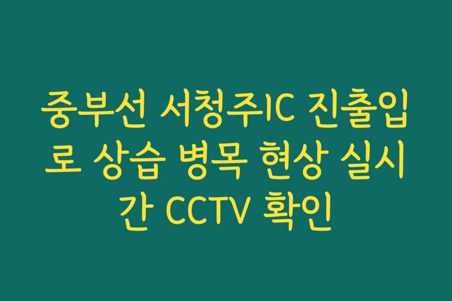중부선 서청주IC 진출입로 상습 병목 현상 실시간 CCTV 확인