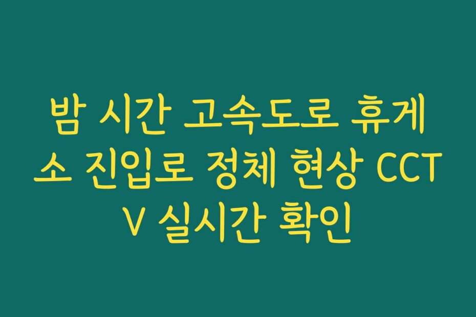밤 시간 고속도로 휴게소 진입로 정체 현상 CCTV 실시간 확인