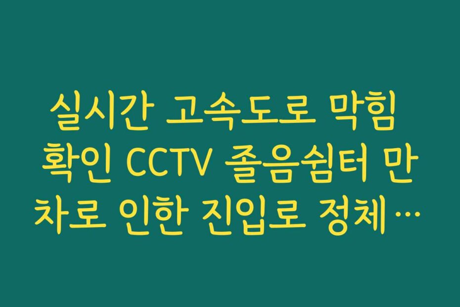 실시간 고속도로 막힘 확인 CCTV 졸음쉼터 만차로 인한 진입로 정체 상황 보기