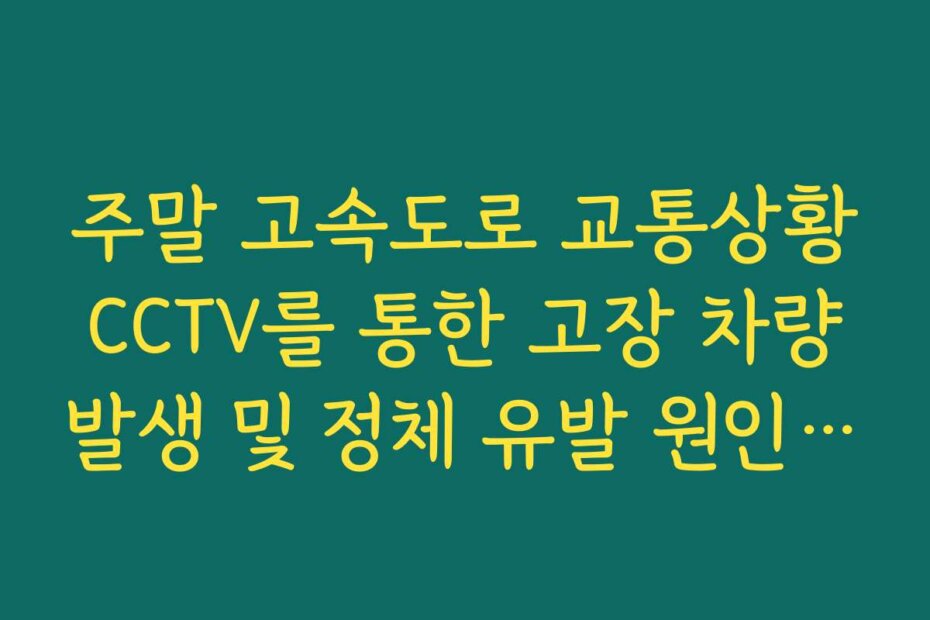 주말 고속도로 교통상황 CCTV를 통한 고장 차량 발생 및 정체 유발 원인 실시간 파악
