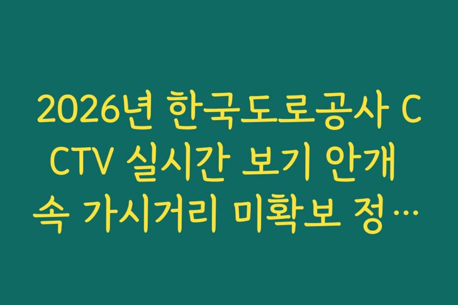 2026년 한국도로공사 CCTV 실시간 보기 안개 속 가시거리 미확보 정체 실시간 확인