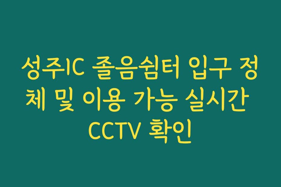 성주IC 졸음쉼터 입구 정체 및 이용 가능 실시간 CCTV 확인