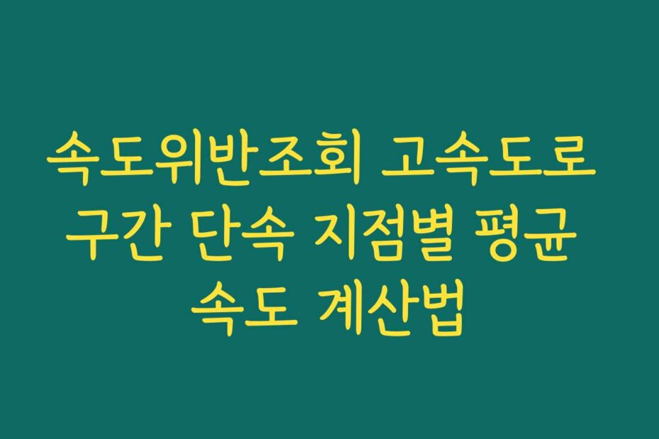 속도위반조회 고속도로 구간 단속 지점별 평균 속도 계산법