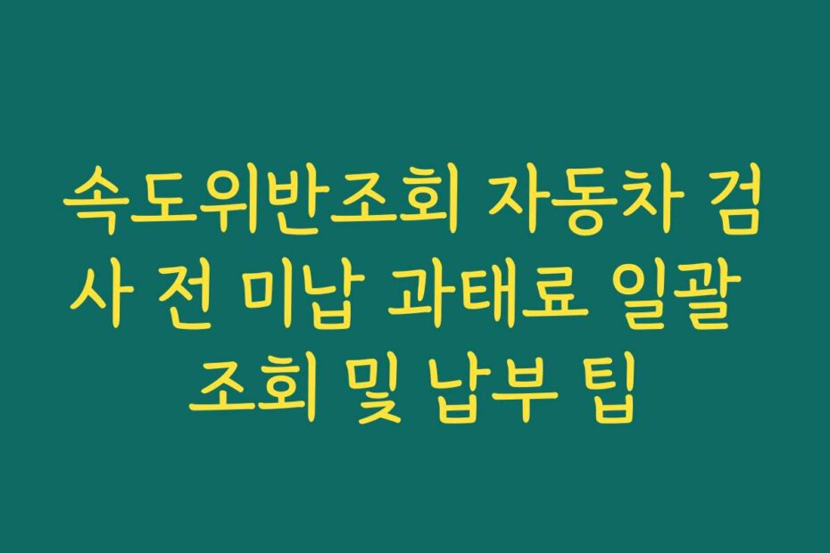 속도위반조회 자동차 검사 전 미납 과태료 일괄 조회 및 납부 팁