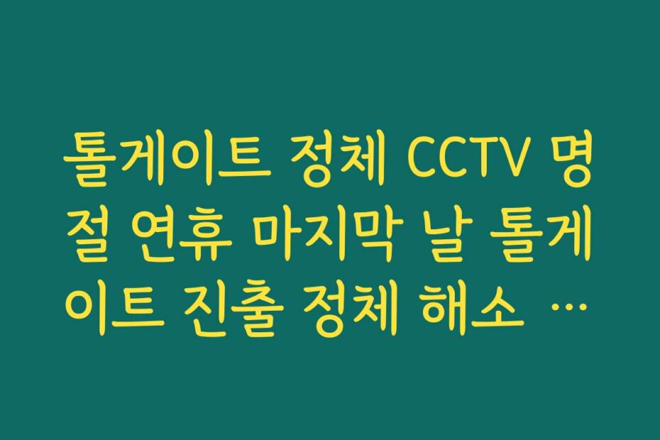 톨게이트 정체 CCTV 명절 연휴 마지막 날 톨게이트 진출 정체 해소 시점 분석