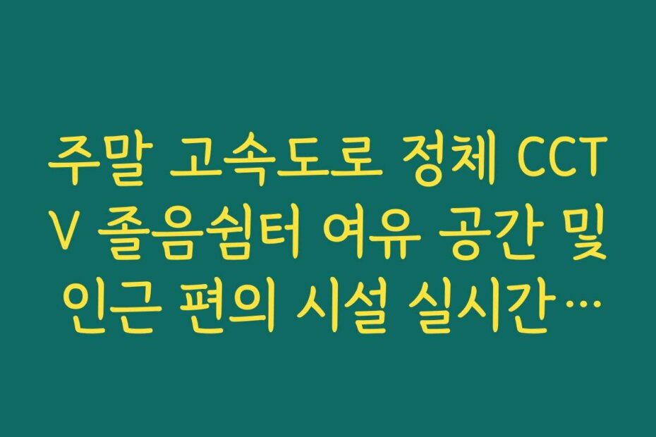 주말 고속도로 정체 CCTV 졸음쉼터 여유 공간 및 인근 편의 시설 실시간 정보