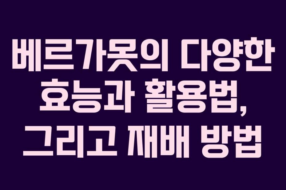 베르가못의 다양한 효능과 활용법, 그리고 재배 방법