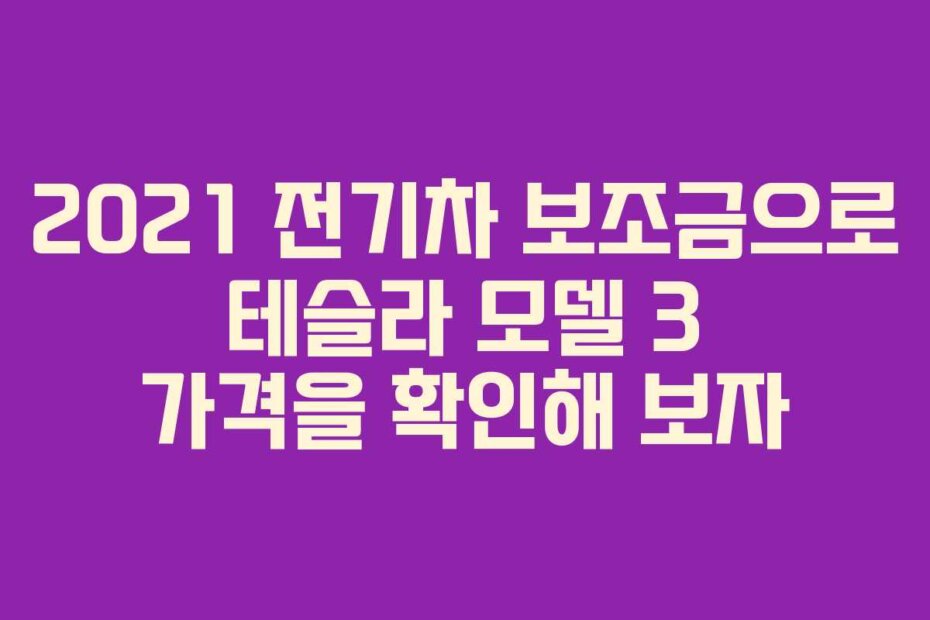 2021 전기차 보조금으로 테슬라 모델 3 가격을 확인해 보자