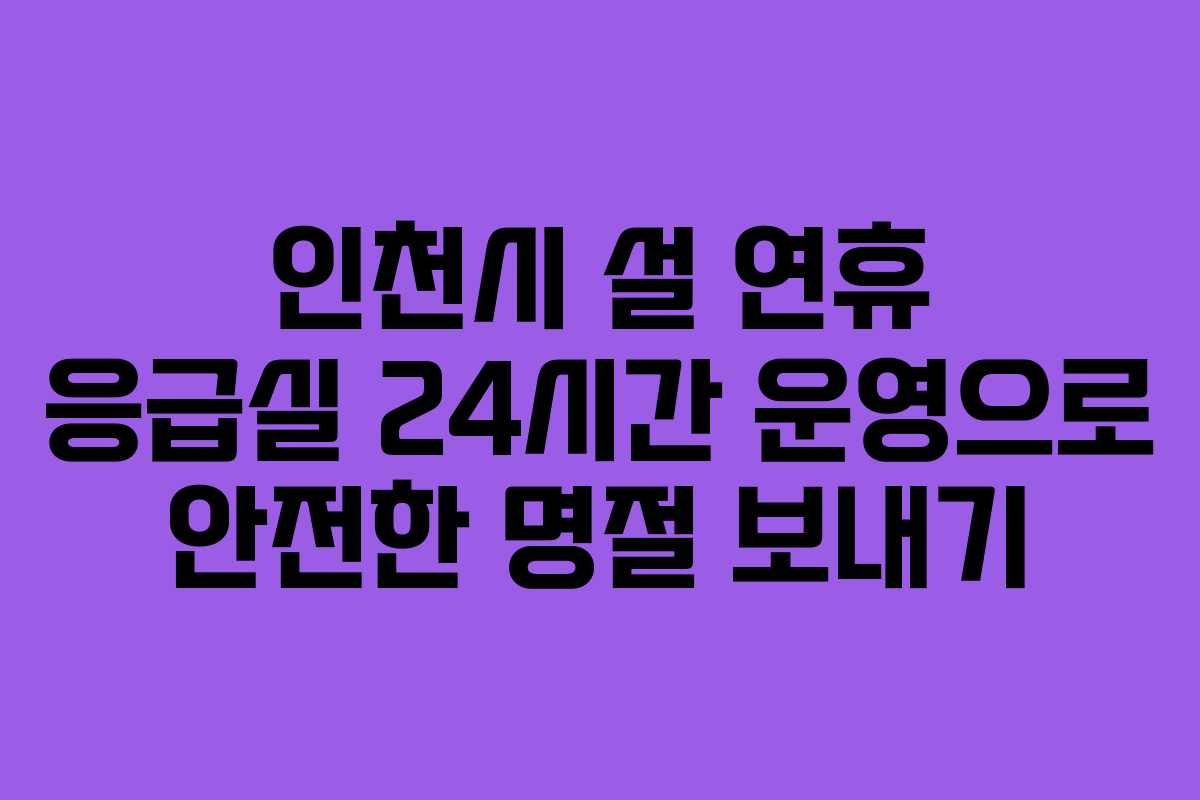 인천시 설 연휴 응급실 24시간 운영으로 안전한 명절 보내기