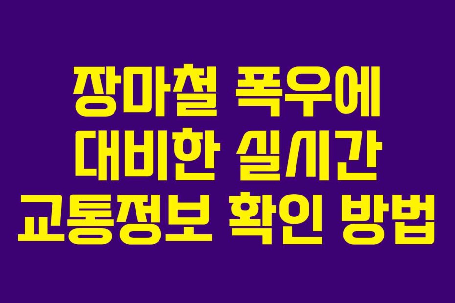장마철 폭우에 대비한 실시간 교통정보 확인 방법