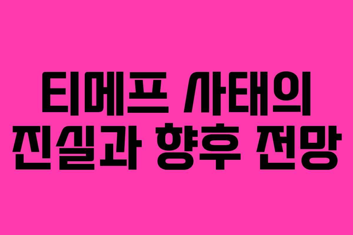 티메프 사태의 진실과 향후 전망