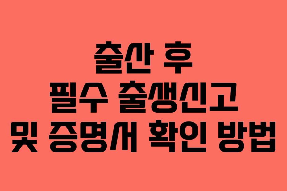 출산 후 필수 출생신고 및 증명서 확인 방법