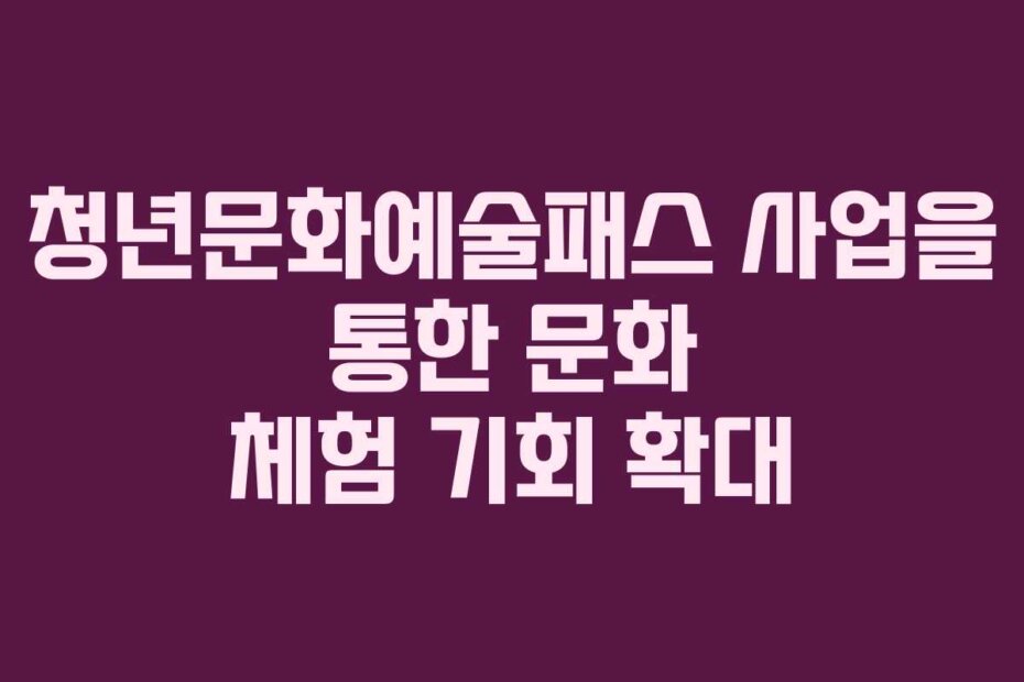 청년문화예술패스 사업을 통한 문화 체험 기회 확대