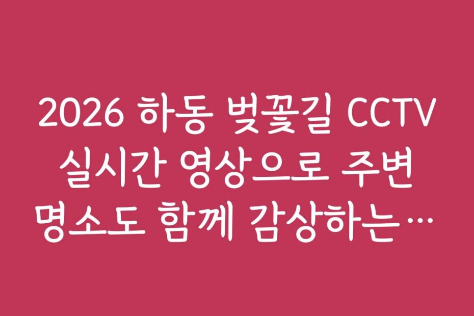 2026 하동 벚꽃길 CCTV 실시간 영상으로 주변 명소도 함께 감상하는 방법
