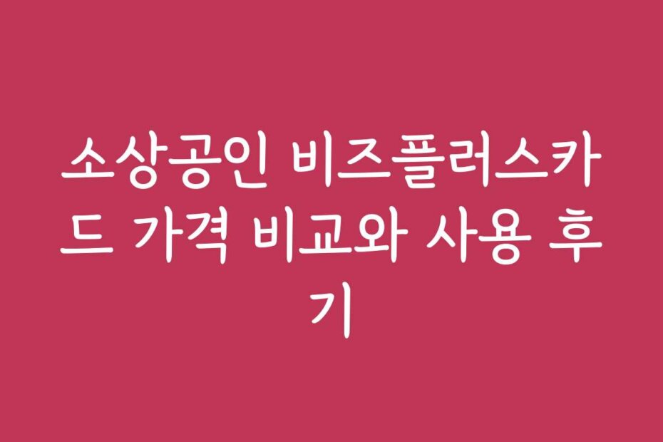 소상공인 비즈플러스카드 가격 비교와 사용 후기