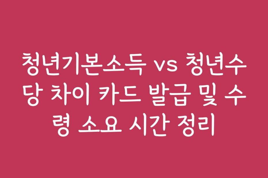 청년기본소득 vs 청년수당 차이 카드 발급 및 수령 소요 시간 정리