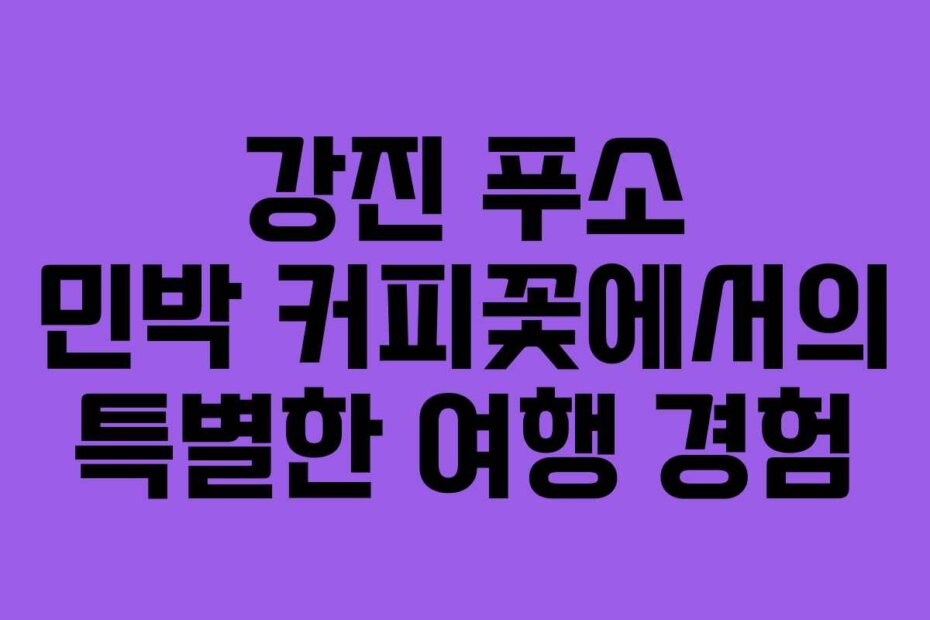 강진 푸소 민박 커피꽃에서의 특별한 여행 경험