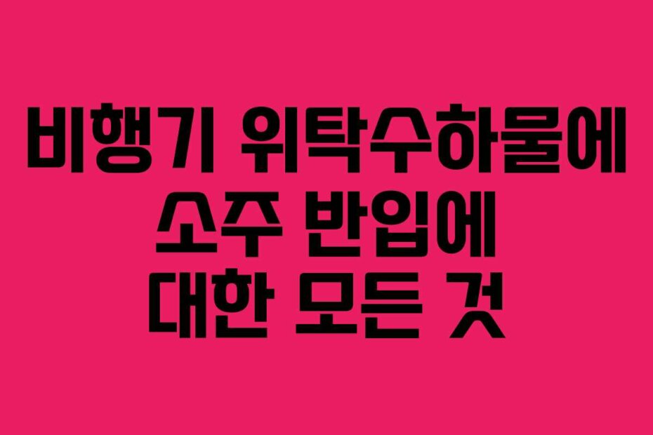 비행기 위탁수하물에 소주 반입에 대한 모든 것