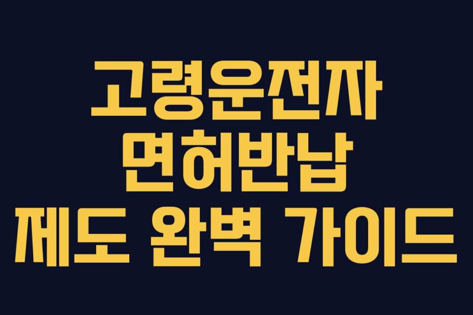 고령운전자 면허반납 제도 완벽 가이드