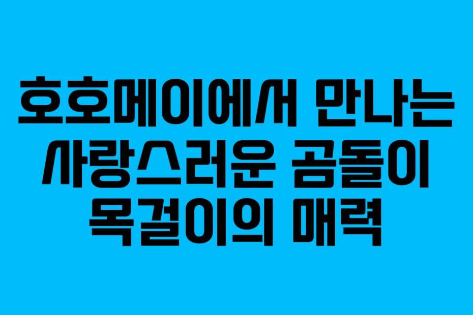 호호메이에서 만나는 사랑스러운 곰돌이 목걸이의 매력