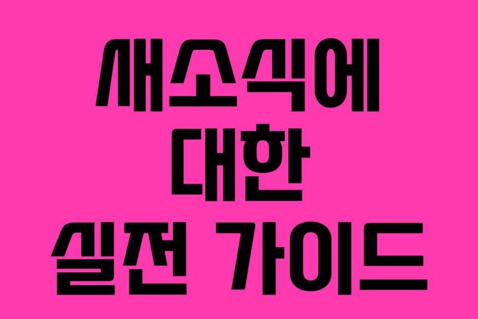 새소식에 대한 실전 가이드