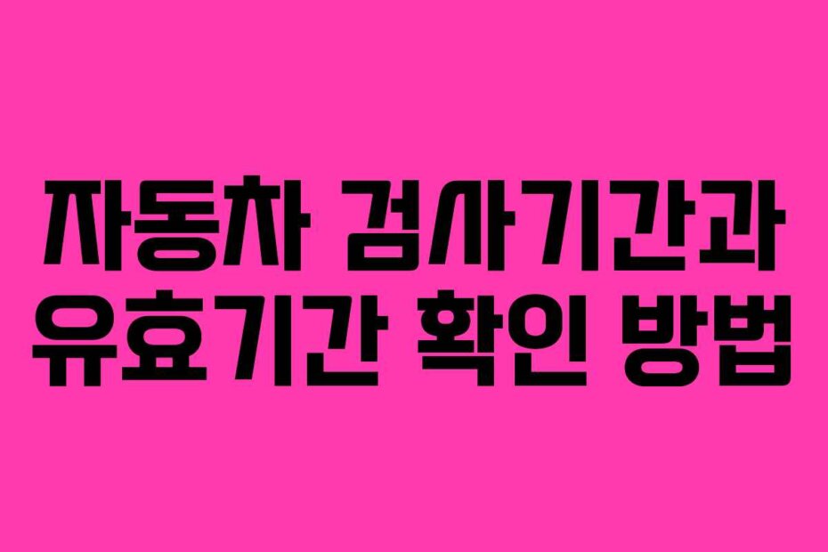 자동차 검사기간과 유효기간 확인 방법