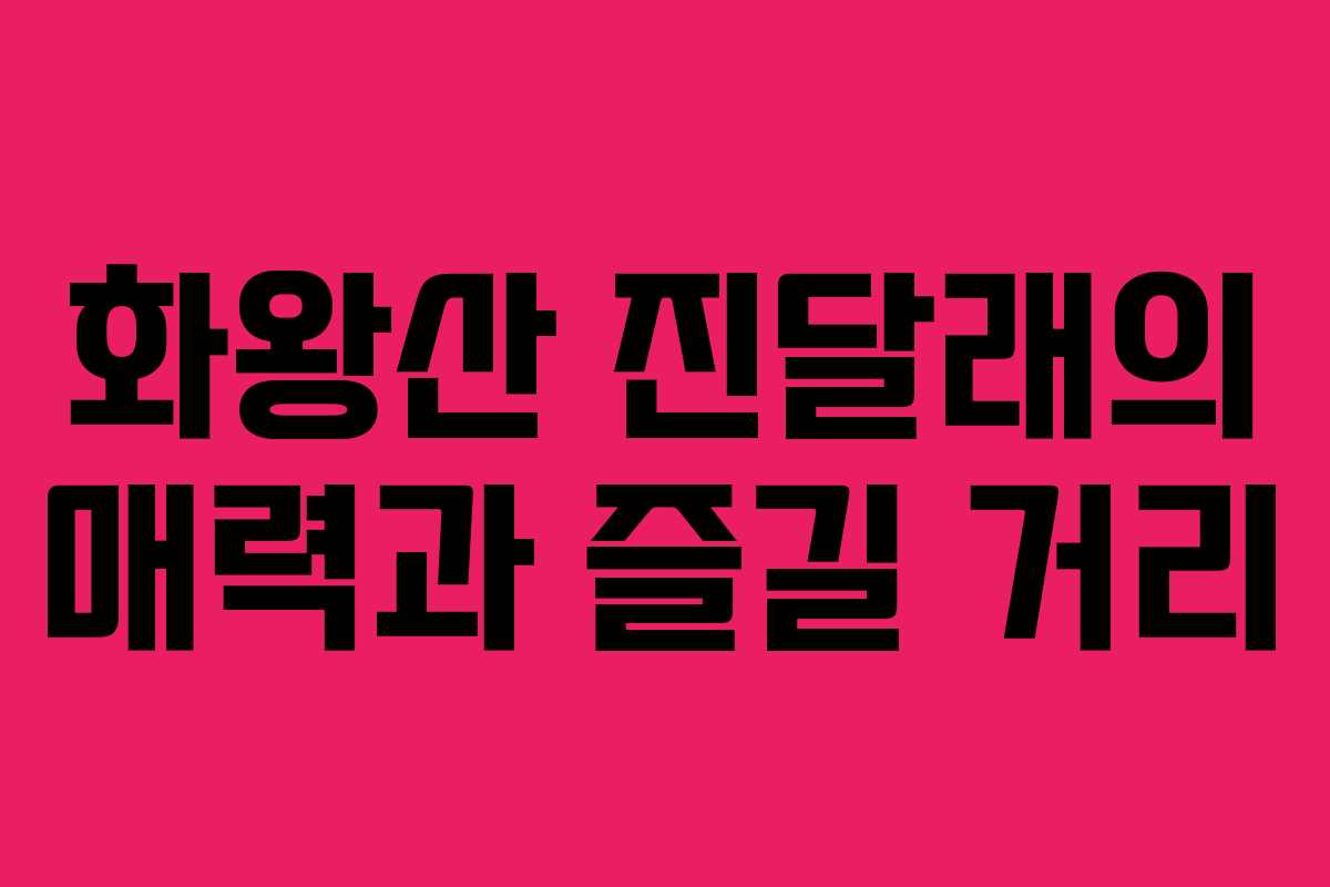 화왕산 진달래의 매력과 즐길 거리