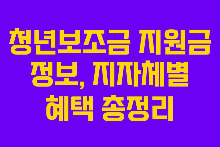 청년보조금 지원금 정보, 지자체별 혜택 총정리