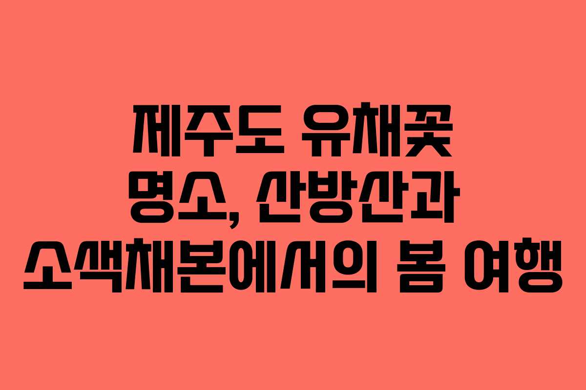 제주도 유채꽃 명소, 산방산과 소색채본에서의 봄 여행
