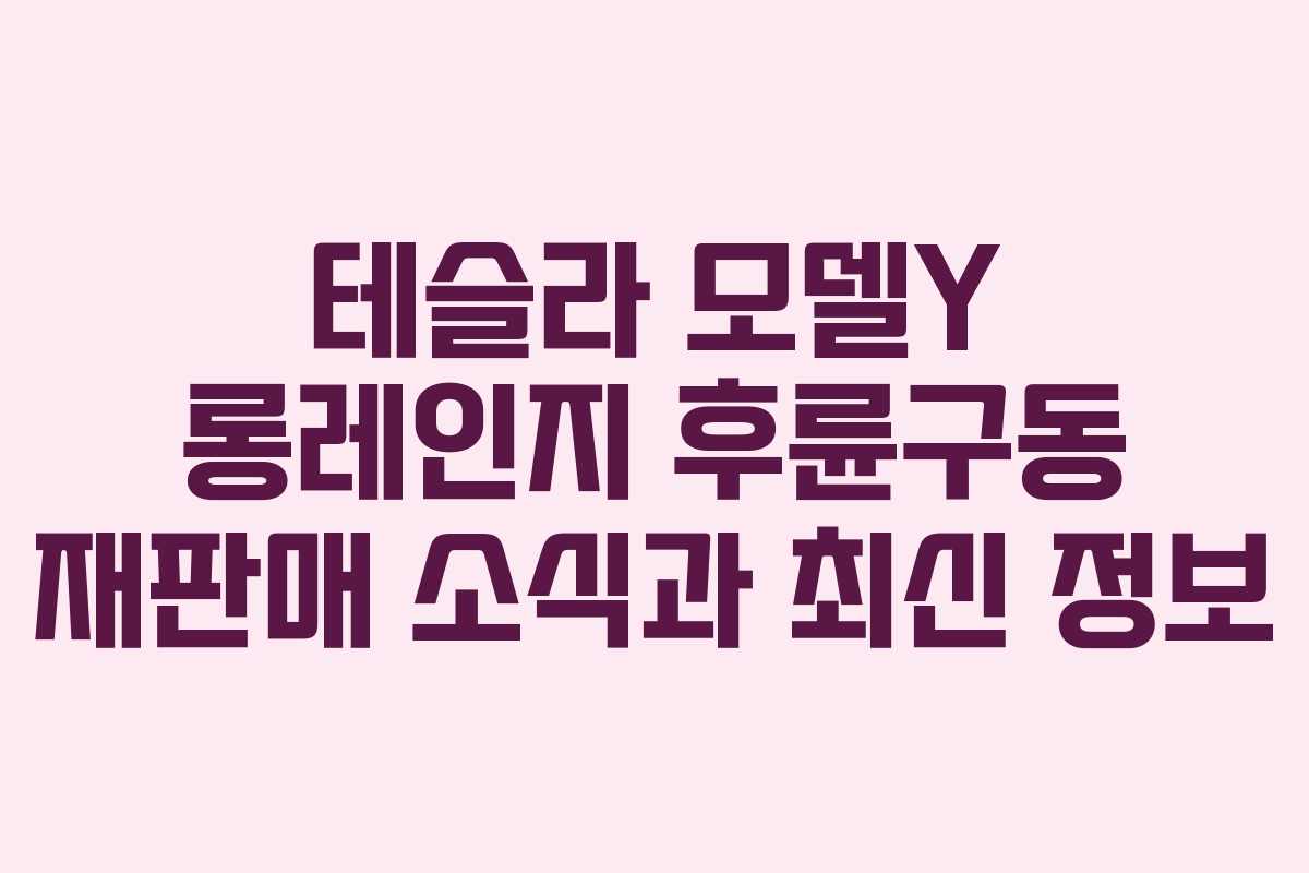 테슬라 모델Y 롱레인지 후륜구동 재판매 소식과 최신 정보