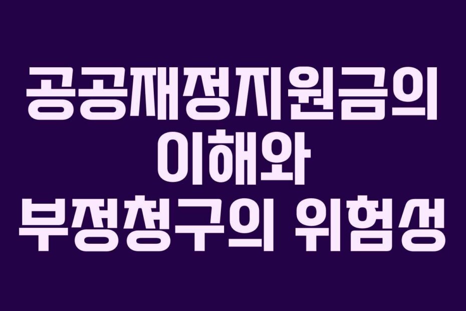 공공재정지원금의 이해와 부정청구의 위험성