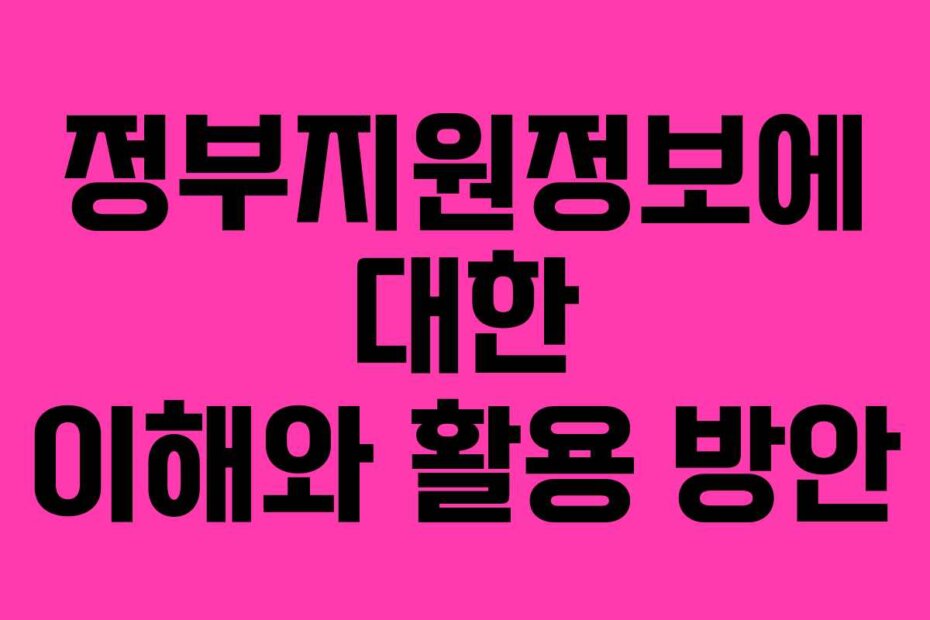 정부지원정보에 대한 이해와 활용 방안