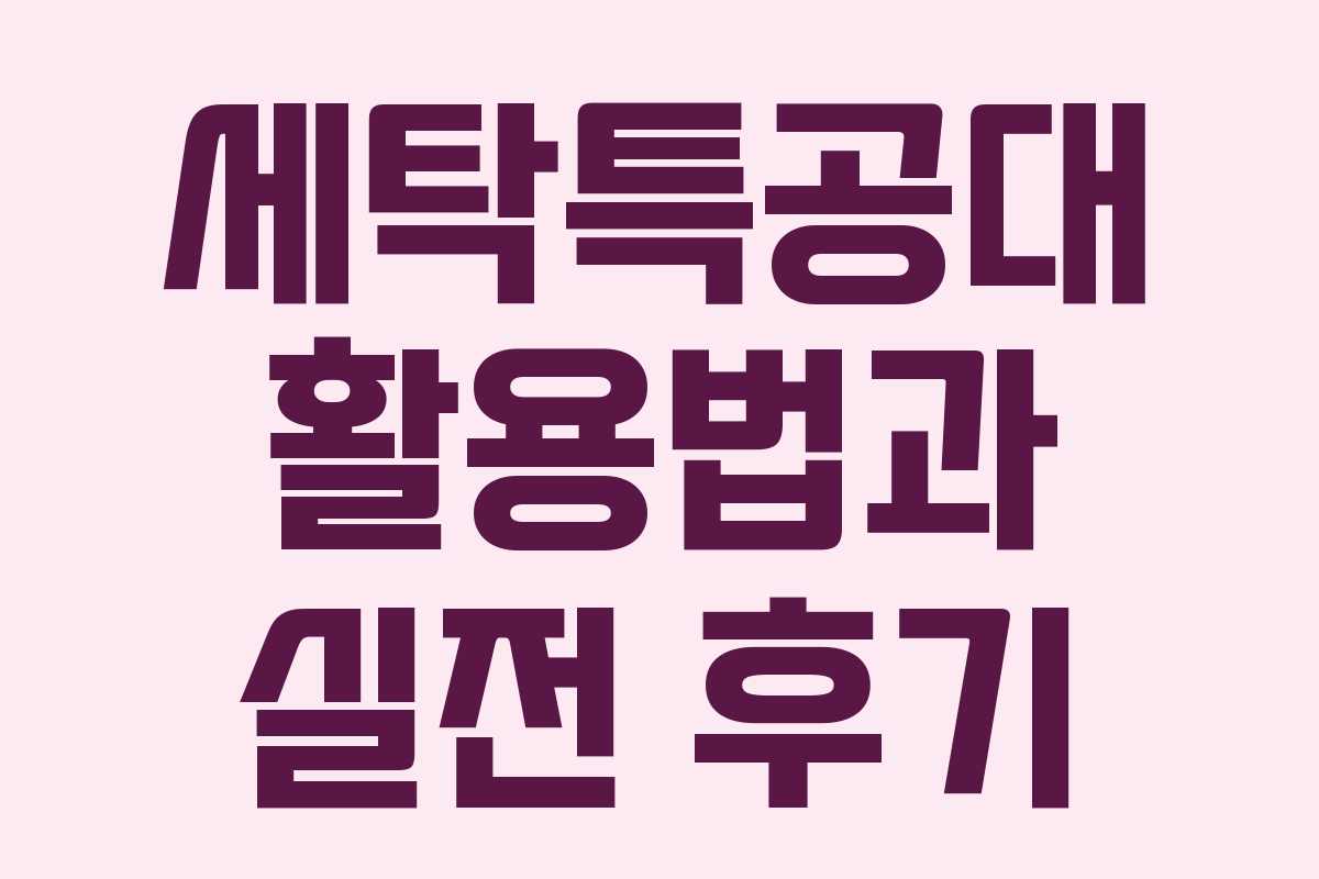 세탁특공대 활용법과 실전 후기