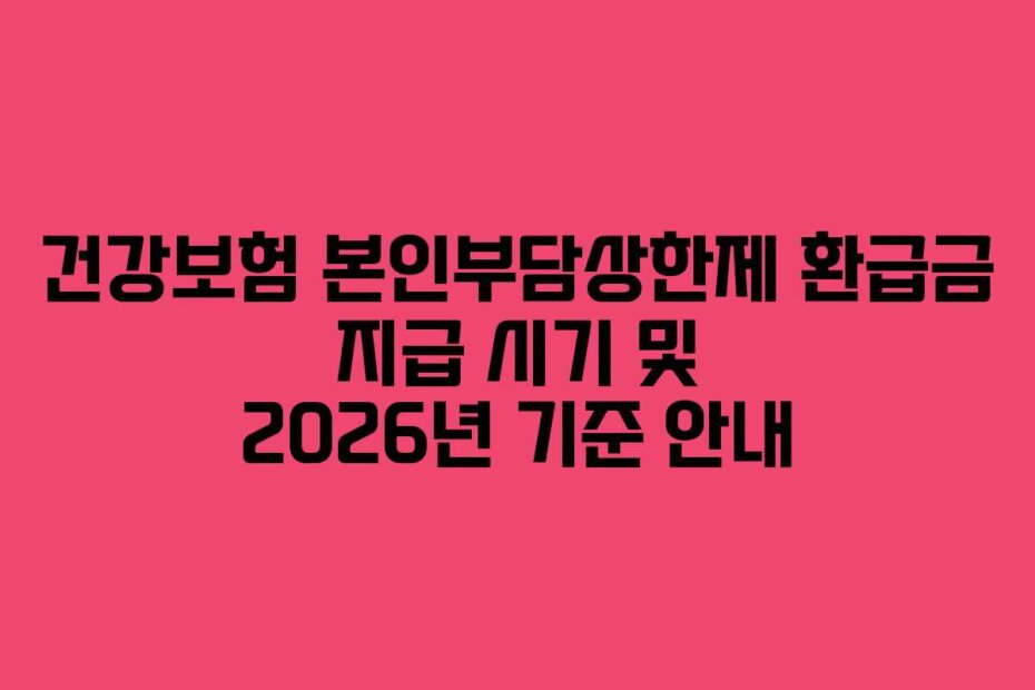 건강보험 본인부담상한제 환급금 지급 시기 및 2026년 기준 안내